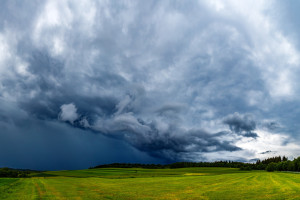 Прогноз погоды во Владимирской области на 30 июня 2025 года