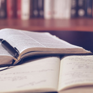 Во Владимире стала известна точная цена за курсы для церковных гидов