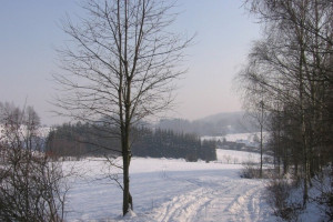 Маткапитал, общественный транспорт, гостайна. Что изменится для владимирцев в феврале-2024 