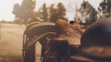 В Суздале прокатчица помирилась с упавшими с лошади туристами