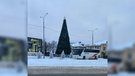 В Александрове поставили новогоднюю елку