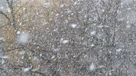 На Владимирскую область надвигается снегопад