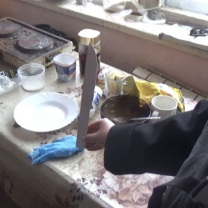 Житель Судогодского района убил коллегу на пилораме и фиктивно прописал 5 нелегалов