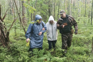 Владимирские волонтеры целые сутки искали 63-летнюю пропавшую в лесу женщину