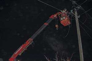 Во Владимирской области энергетики срубили 2,6 тыс. деревьев