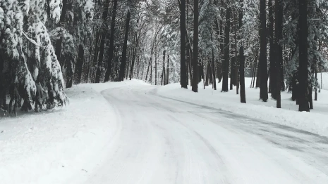 Владимирская область оказалась не готовой к зиме