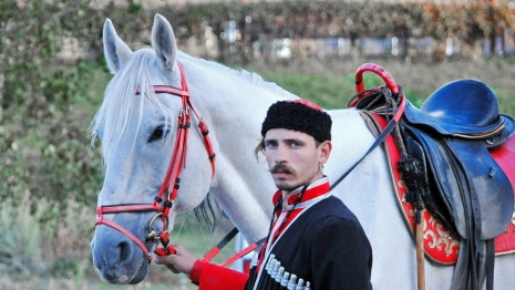 Во Владимирской области казакам могут помочь материально 
