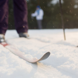 Во Владимире начали поиск проектировщика лыжероллерной трассы