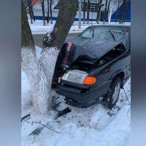 Во Владимире легковушка врезалась в дерево у Центрального парка