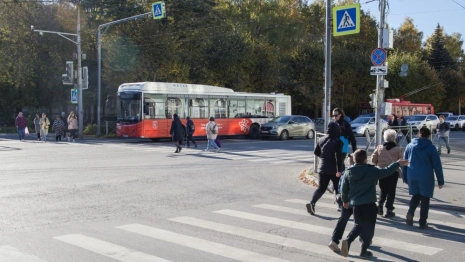 «Продвижение безопасности» во Владимирской области: культуру дорожной дисциплины формируют с детства