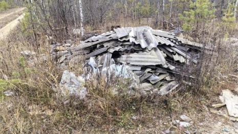 Во владимирском лесу выросла огромная стихийная свалка