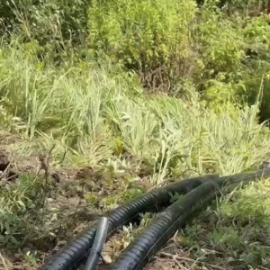 У родника возле ДТЮ во Владимире появился водомат