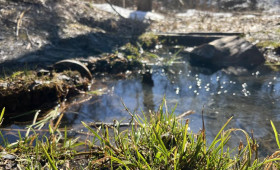 Последние выходные марта во Владимирской области закончатся 15-градусным теплом