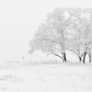 Жителей Владимирской области предупредили о тумане и гололеде