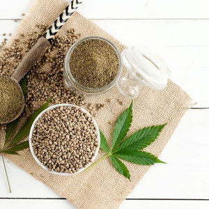 Камешковскую пенсионерку осудили за лечебную настойку из конопли