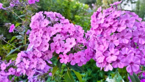 Прогноз погоды во Владимирской области на 12 августа