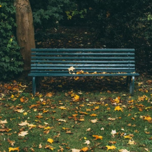 Жителям Владимира предложили выбрать скверы для благоустройства в 2024 году