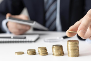 Пенсионерка отсудила 2 млн рублей у владимирского «Мавроди»