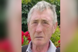 Владимирцев позвали на поиски 79-летнего мужчины на серебристом скутере