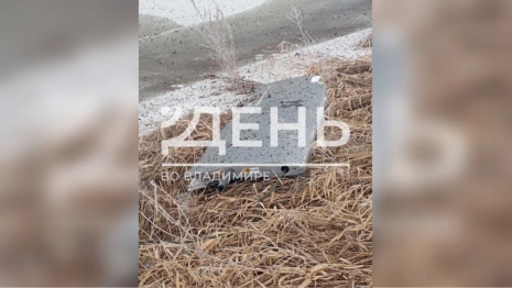 Обломки сбитого в Судогодском районе БПЛА показали на фото и видео