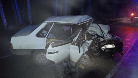 В Камешковском районе 40-летняя пассажирка легковушки погибла в ДТП