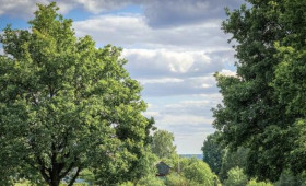 Суд вернул незаконно присоединенный ко Владимиру лес у парка «Дружба»