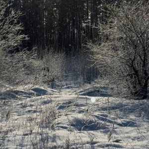 Метель и ураганный ветер обрушатся на Владимирскую область