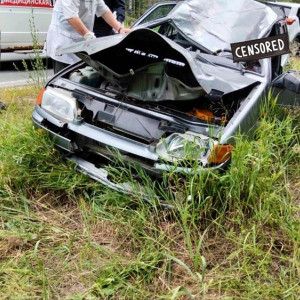 Водитель погиб в ДТП с лосем под Гусь-Хрустальным