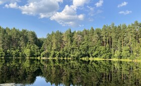 В Петушках бизнесмен незаконно арендовал озеро для разведения рыбы