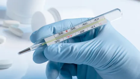 Во Владимирской области подтвердили еще 5 случаев азиатского гриппа
