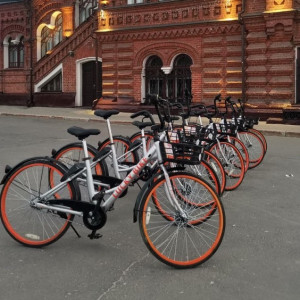 Во Владимире заработали пункты проката велосипедов 