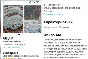 Из заказника во Владимирской области вывезли мох на 1 млн рублей