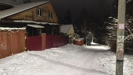 Бастрыкин взял на контроль дело о гибели ребенка при катании на «ватрушке» во Владимире