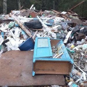 В лесу Камешковского района неизвестные устроили незаконную свалку