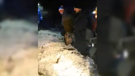 Появилось видео эвакуации 18-летнего студента из Владимира