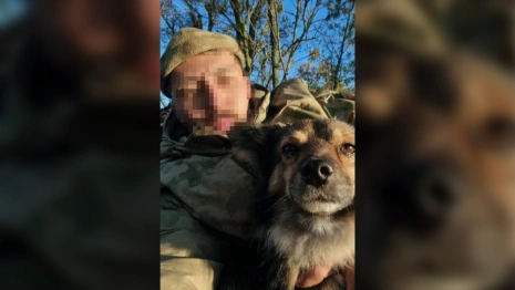 Власти Владимирской области показали несущих службу кошек и собак в зоне СВО