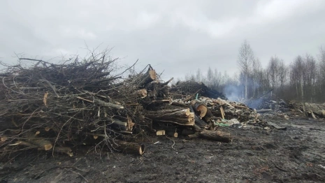 В Гусь-Хрустальном нашли две незаконные свалки