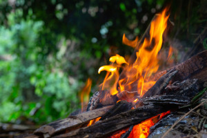 Во Владимирской области из-за жары снова ввели особый противопожарный режим 