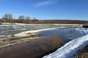Последняя рабочая неделя февраля во Владимирской области закончится потеплением