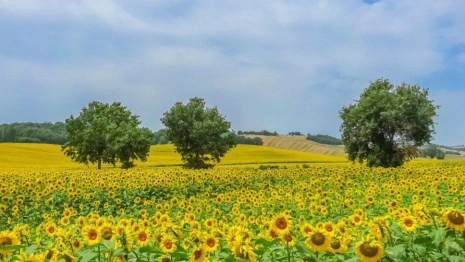 Прогноз погоды во Владимирской области на 28 августа