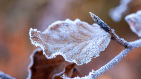 Прогноз погоды во Владимирской области на 11 октября