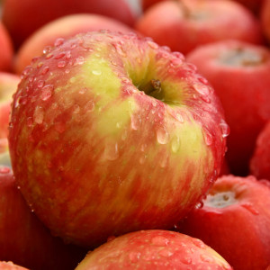 В Суздале отметят церковный праздник Яблочный Спас