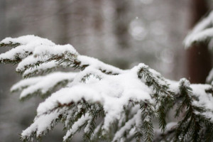 Прогноз погоды во Владимире и области на 5 марта