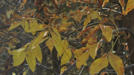 Прогноз погоды во Владимире и области на 5 сентября