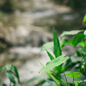 Во Владимирской области без вести пропали 910 взрослых и 90 детей