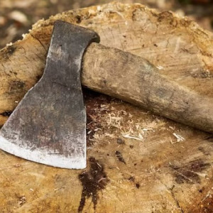 Ударившего мать топором жителя Владимирской области приговорили к колонии