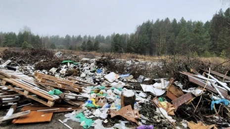 В Гусь-Хрустальном ликвидировали огромную стихийную свалку