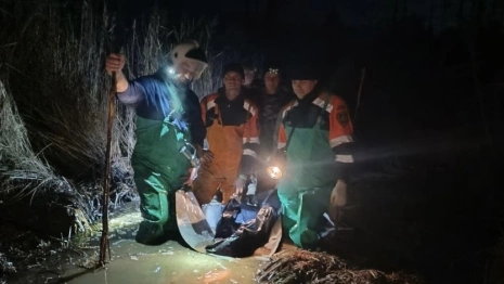 Под Владимиром нашли труп мужчины в болоте