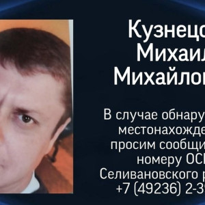 Задолжавшего 1 млн рублей по алиментам жителя Селивановского района объявили в розыск