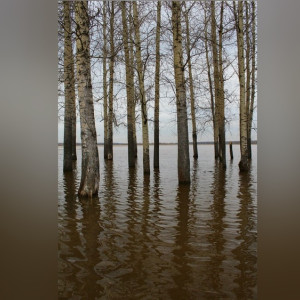 Во Владимирской области Нерль разлилась на 3 км